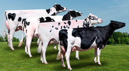 WhatsApp Image 2026-02-12 at 16.50.25