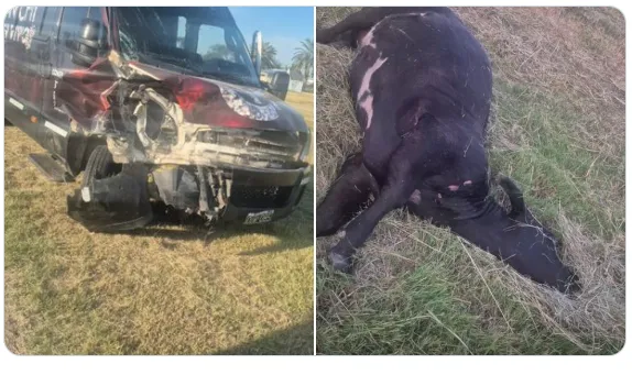 41B038DB-43D0-45F9-ADEB-EBF1C1C8AA70