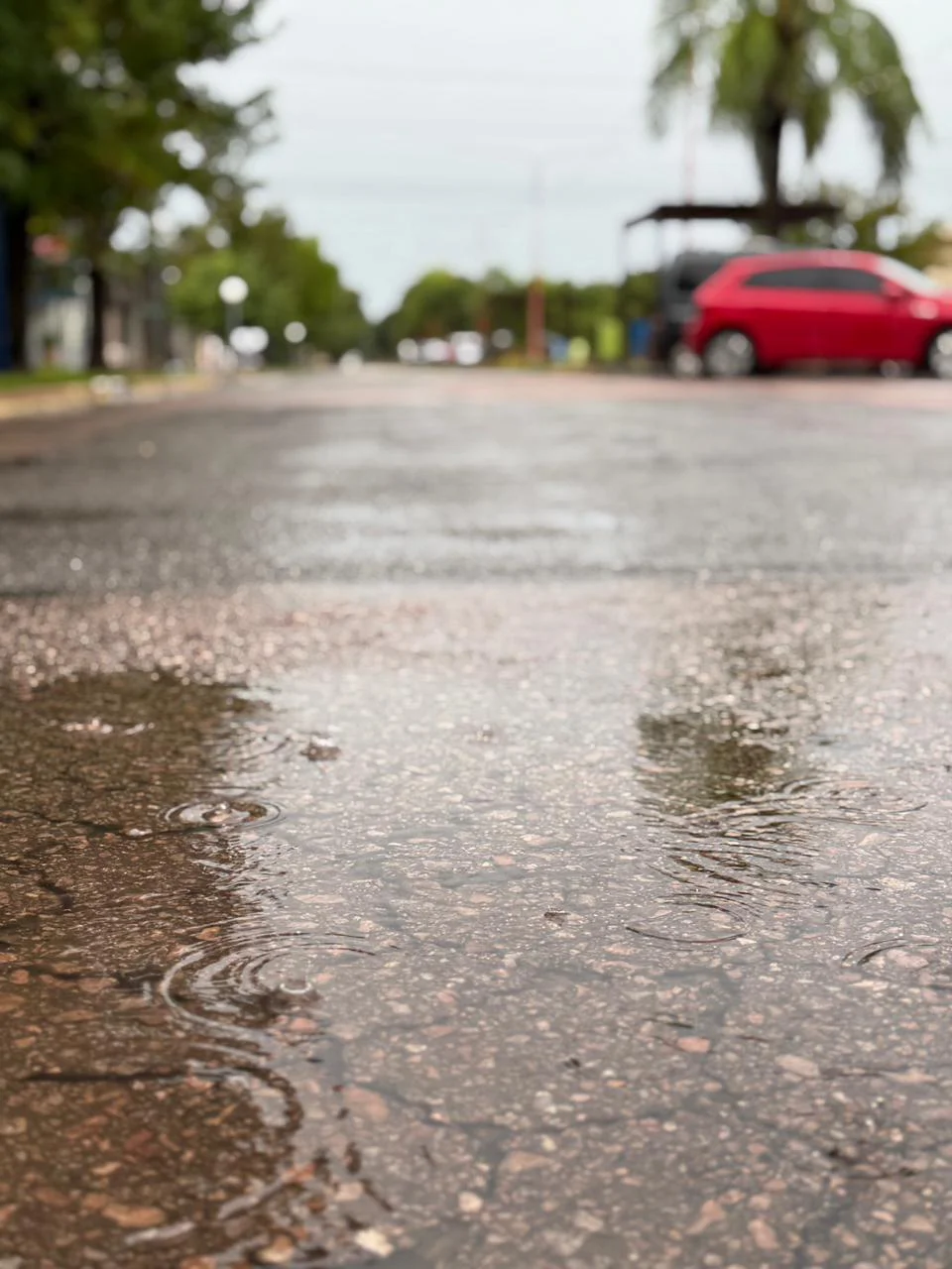 WhatsApp Image 2026-03-03 at 08.36.12