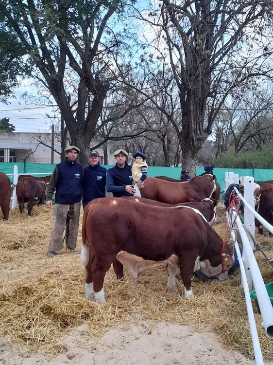 WhatsApp Image 2025-08-19 at 09.32.01