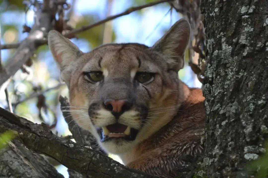 647294931_904987899024877_9207155076242168340_n