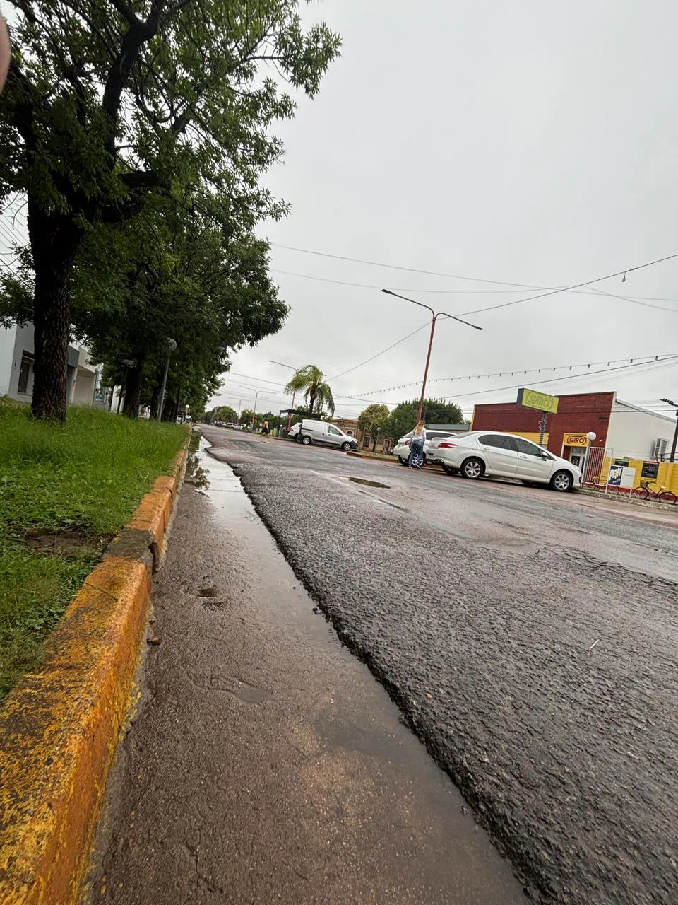 WhatsApp Image 2025-12-15 at 09.04.39