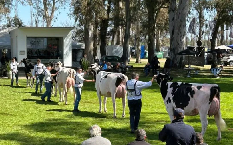 WhatsApp Image 2025-09-06 at 18.43.07