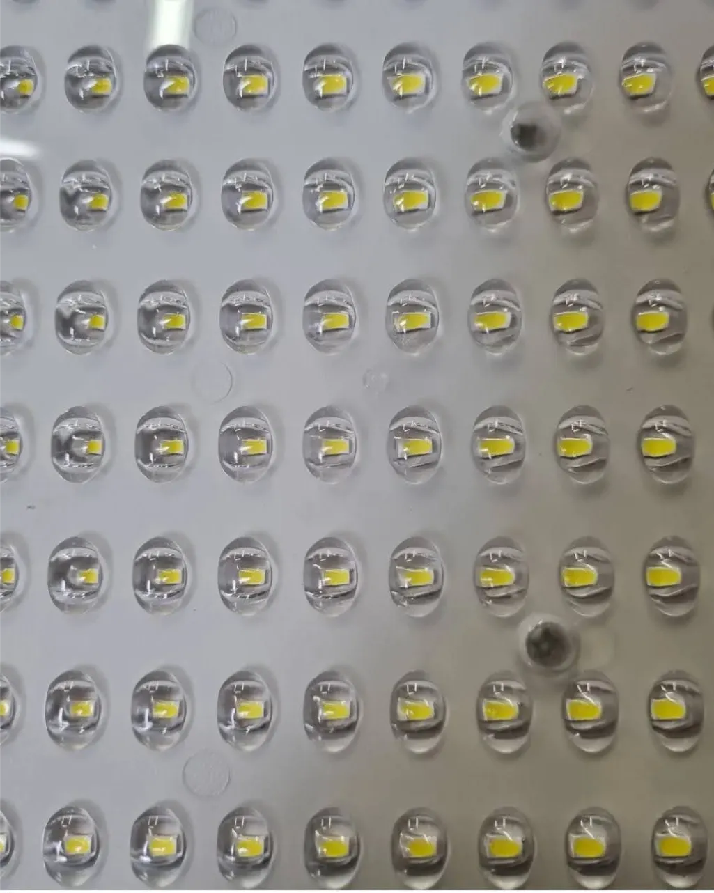 WhatsApp Image 2025-06-23 at 13.51