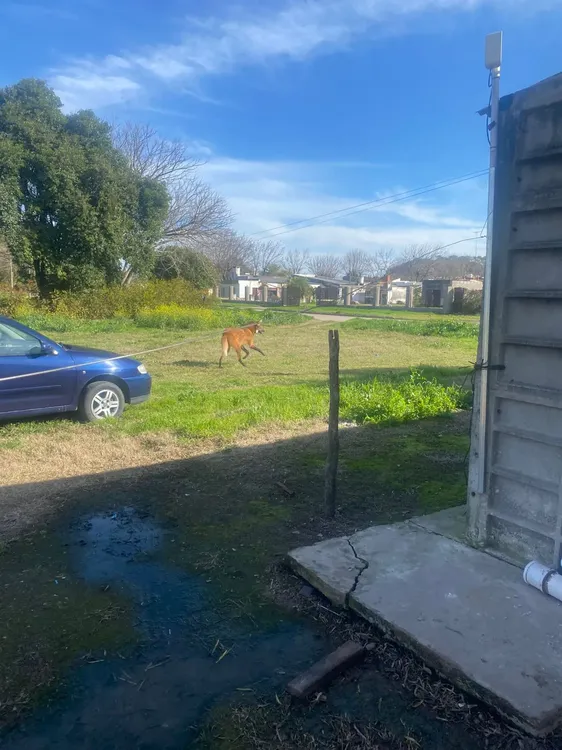 WhatsApp Image 2025-08-02 at 20.20.25 (1)