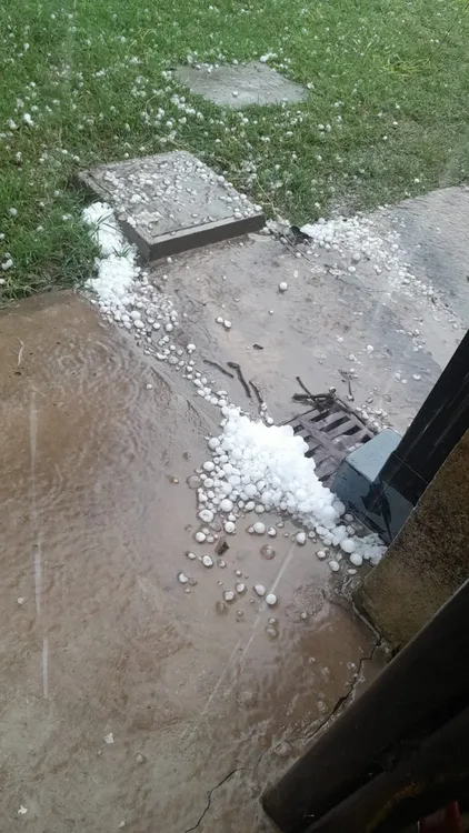 WhatsApp Image 2026-03-20 at 11.36.47