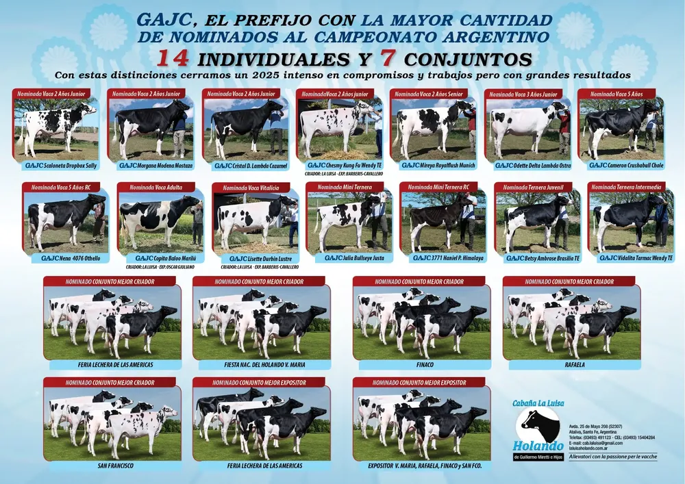 WhatsApp Image 2026-02-10 at 19.30.15