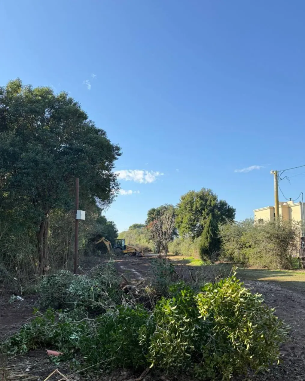 522712176_3957083737864317_3119224960926454649_n