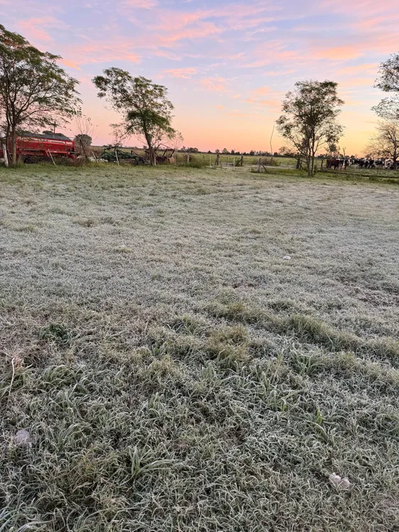 WhatsApp Image 2025-05-29 at 07.50.42