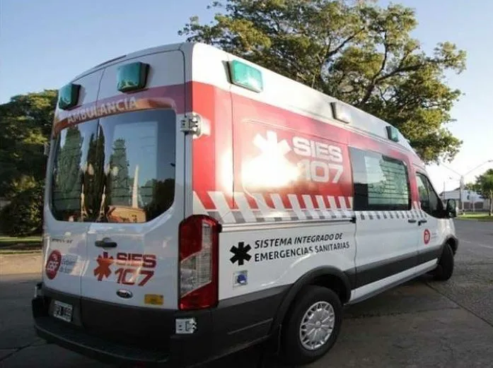 WhatsApp Image 2026-02-12 at 18.11.55