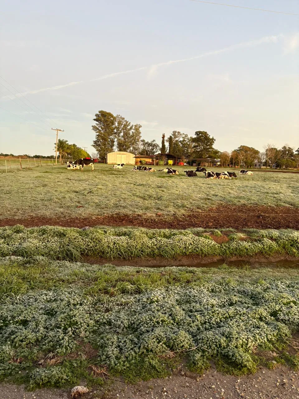 WhatsApp Image 2025-05-29 at 07.48.06