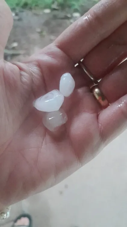 WhatsApp Image 2026-02-18 at 10.01.55