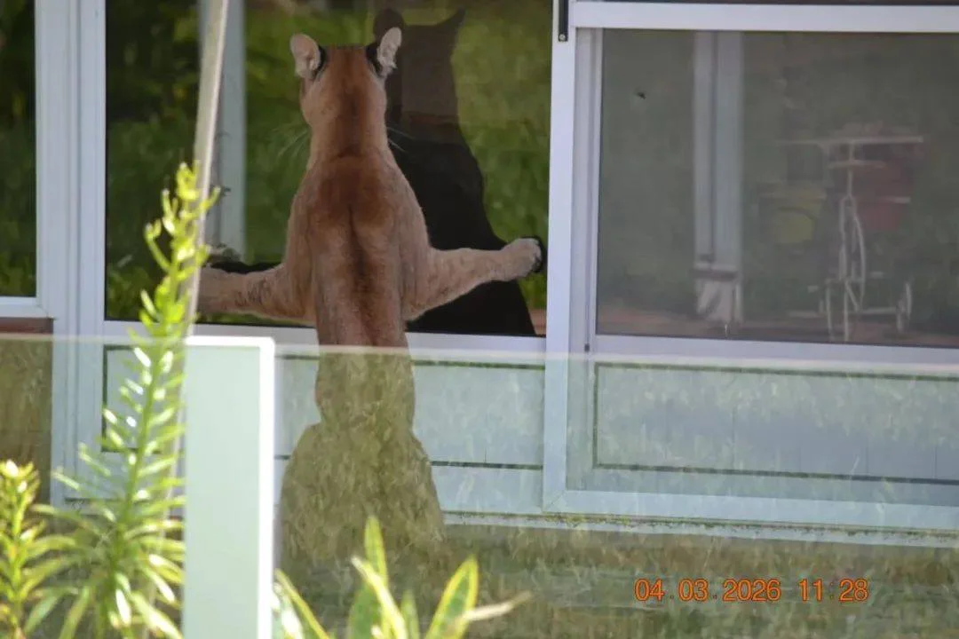 648136676_904988112358189_3788321931879586257_n