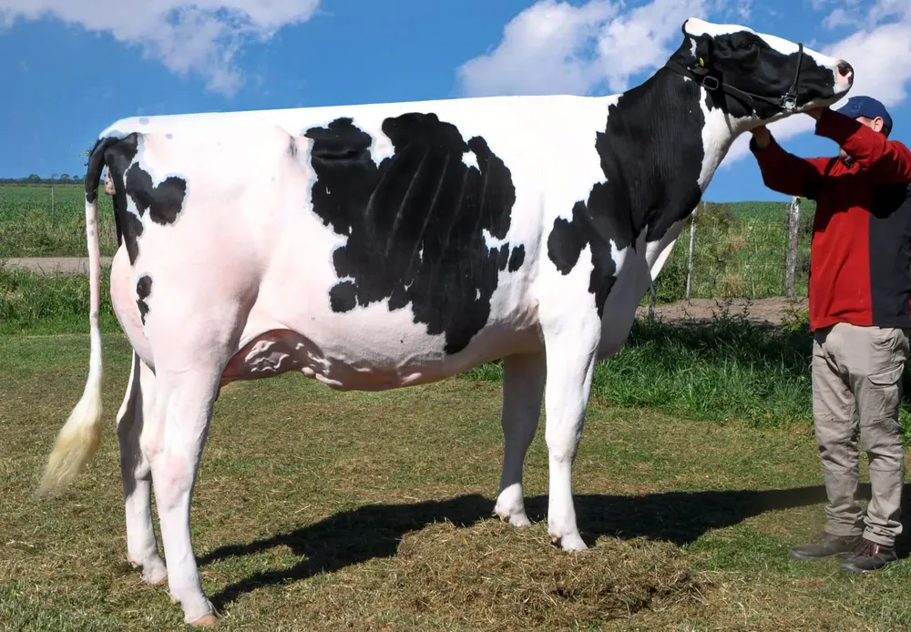 WhatsApp Image 2026-02-12 at 14.53.43