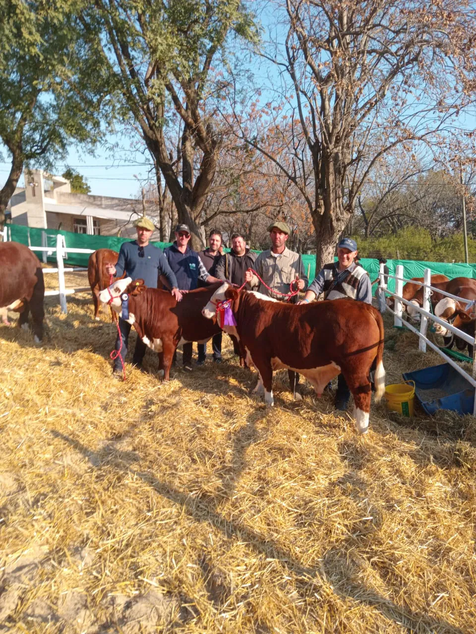 WhatsApp Image 2025-08-19 at 09.32.08