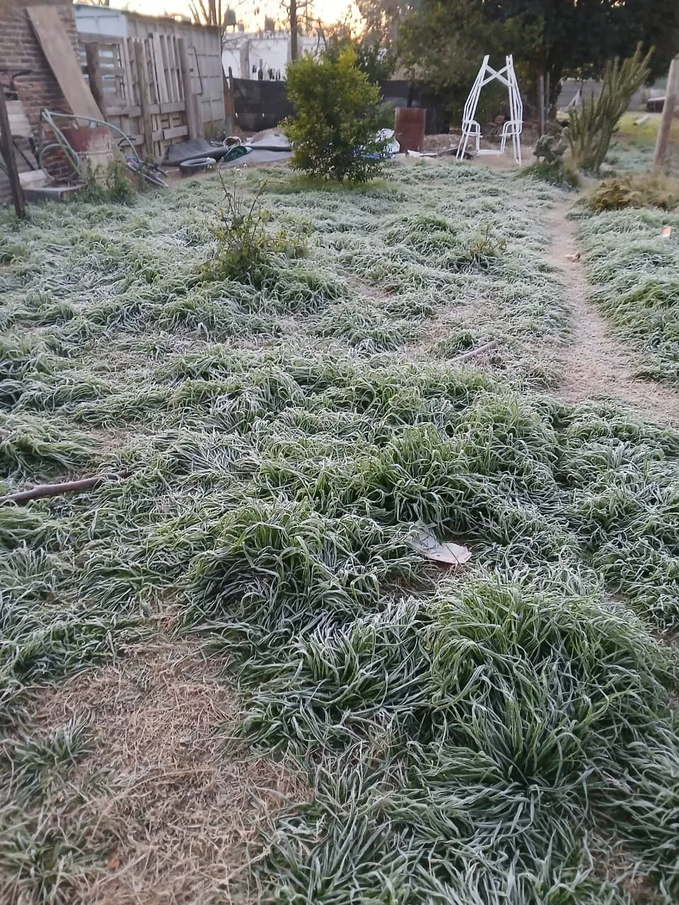 WhatsApp Image 2025-07-01 at 08.22.29