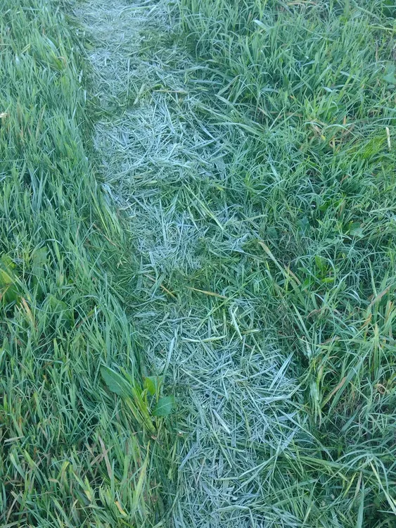 WhatsApp Image 2025-10-07 at 08.55.52