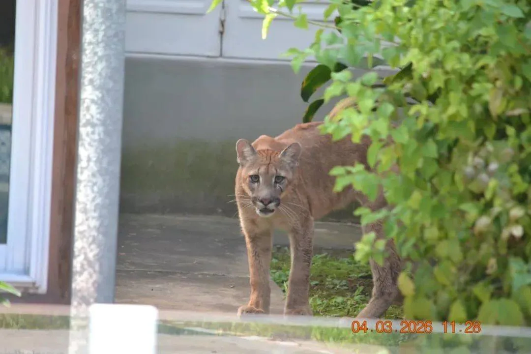 647690150_904988025691531_3146088372939789012_n