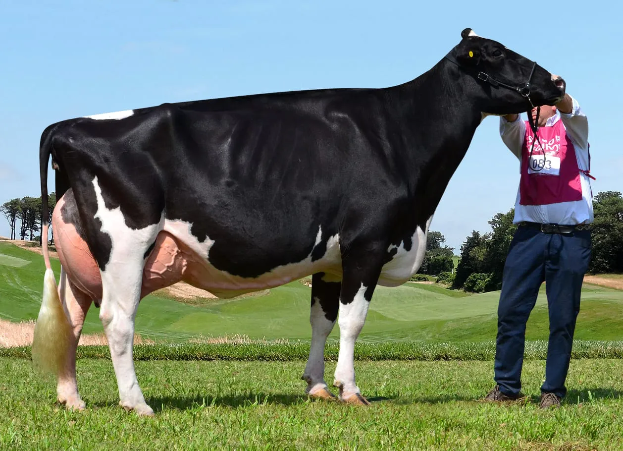 NARDA EX92