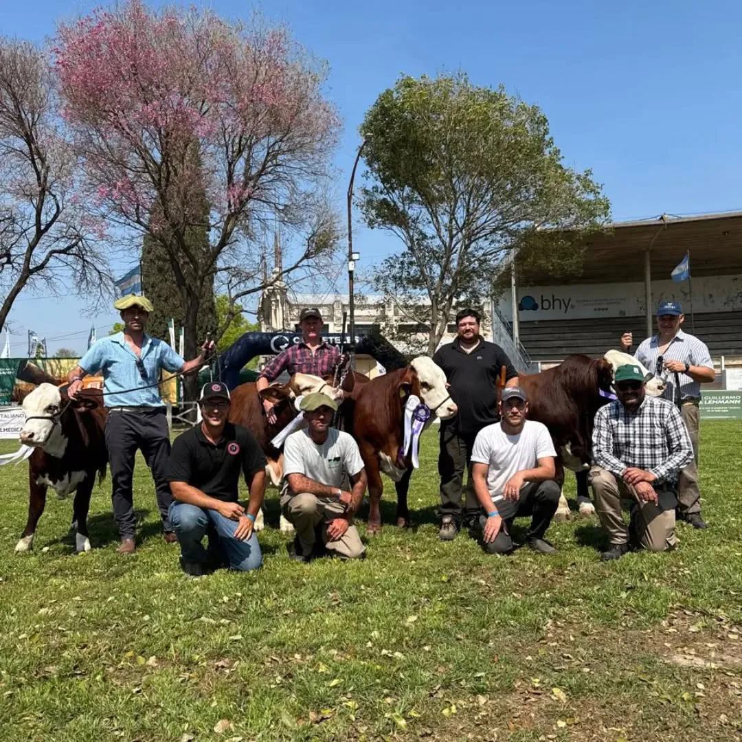 551071534_18075082769113528_7692078725464276177_n