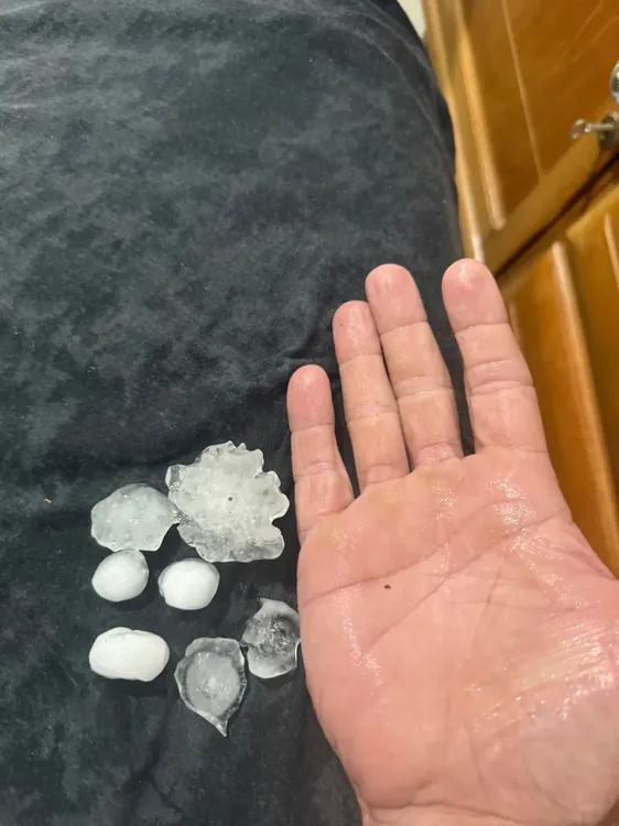 WhatsApp Image 2026-02-18 at 11.30.35 (1)