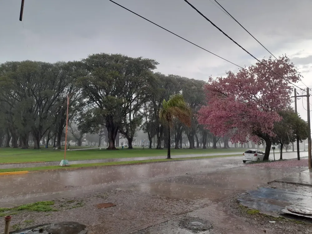 WhatsApp Image 2025-11-30 at 17.52.37