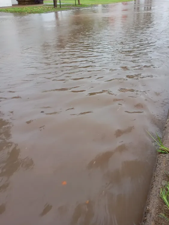 WhatsApp Image 2026-04-04 at 12.37.12 (1)