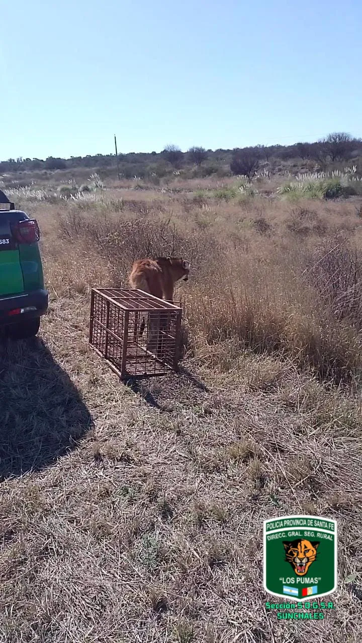 8029a8da-2a15-4482-9401-91a1bf72d3bb