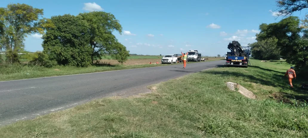 WhatsApp Image 2026-03-31 at 16.10.56 (1)