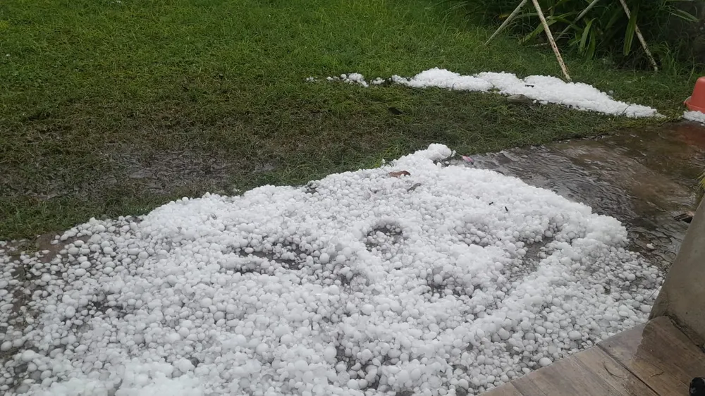 WhatsApp Image 2026-03-20 at 11.39.36