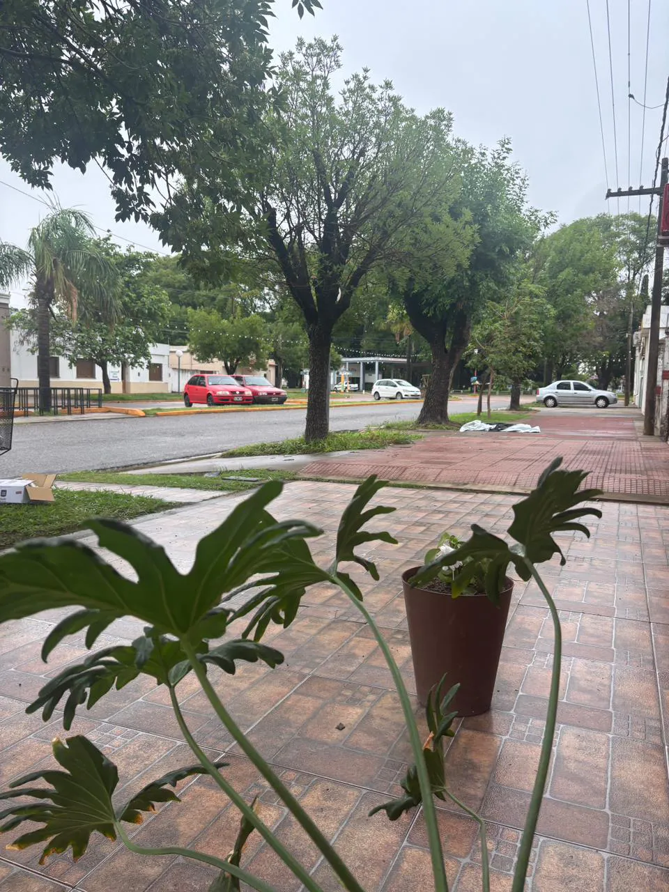 WhatsApp Image 2025-12-15 at 09.04.38