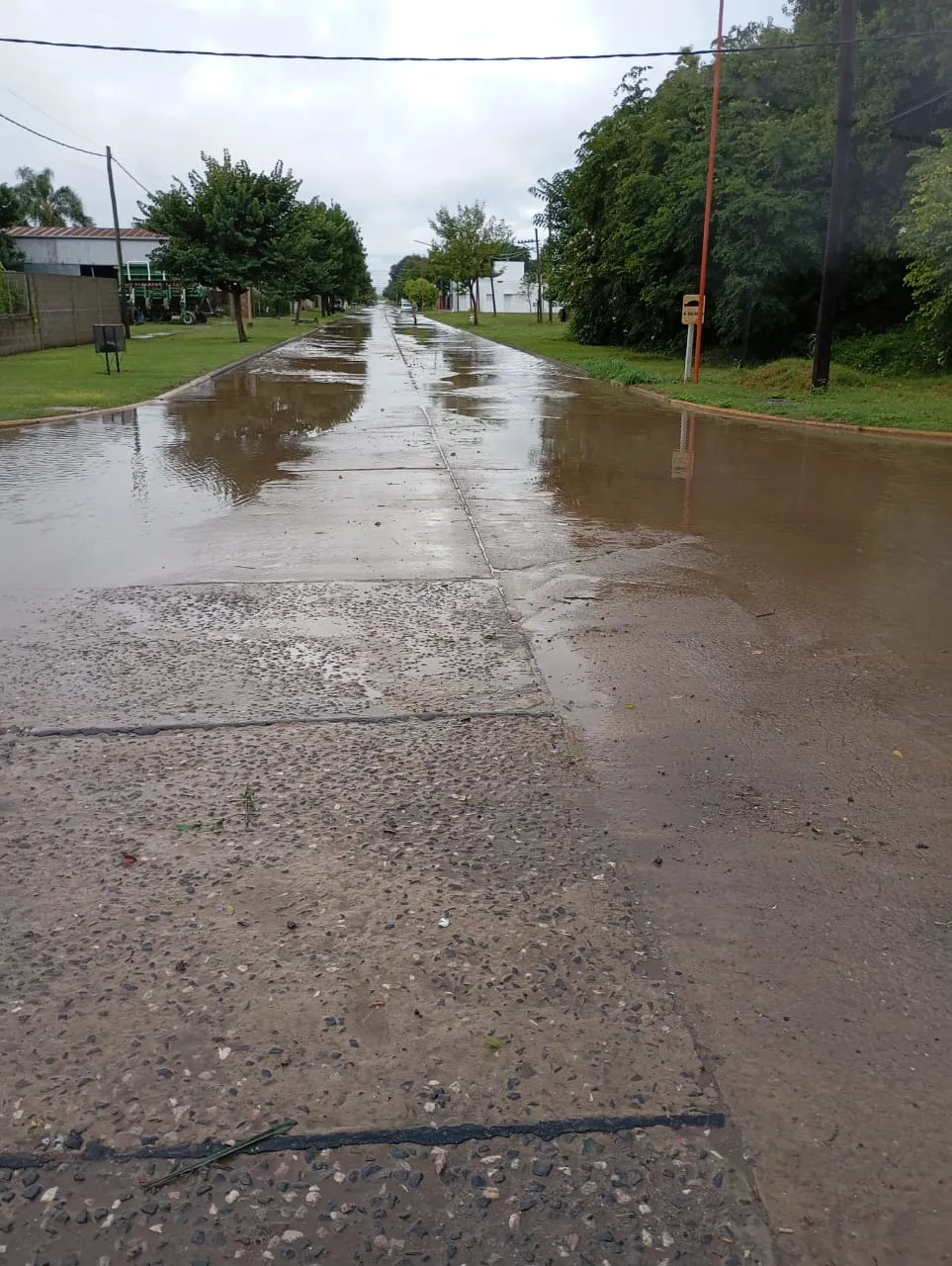 WhatsApp Image 2026-02-18 at 08.22.01