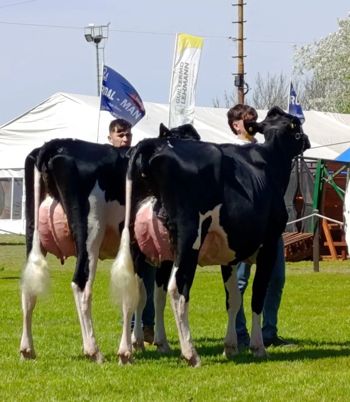 WhatsApp Image 2025-09-14 at 10.23.27