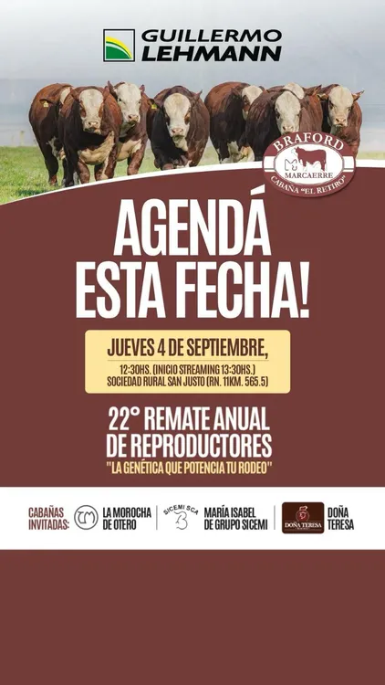 WhatsApp Image 2025-08-26 at 12.44.00