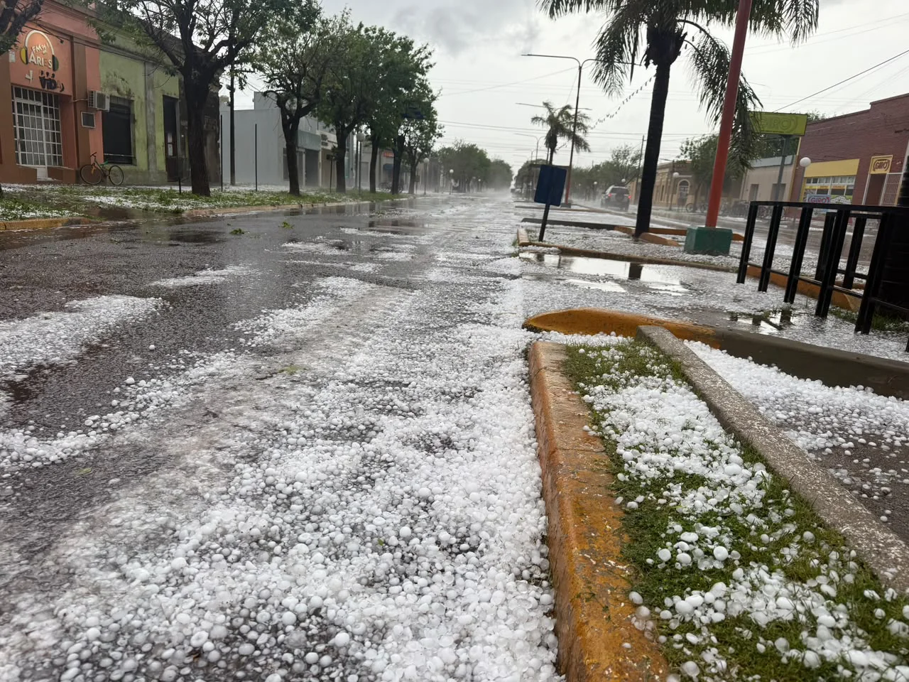 Pedrada Granizo en Ataliva (6)