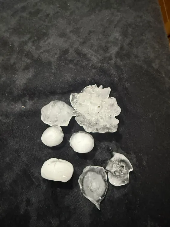 WhatsApp Image 2026-02-18 at 11.30.35