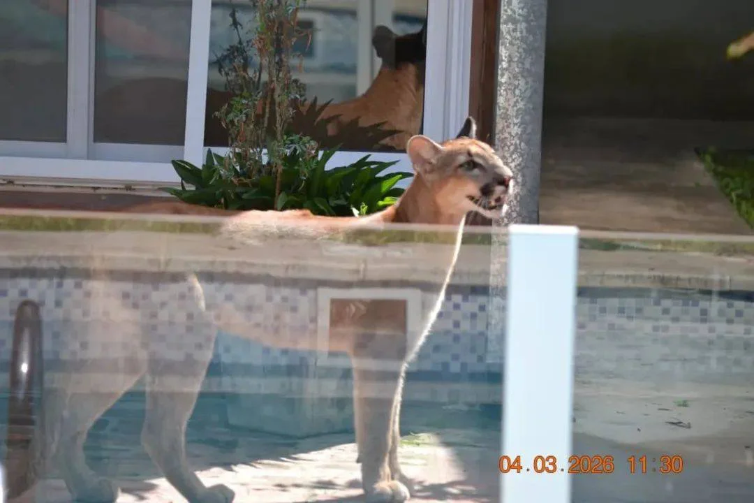 647765401_904988069024860_1909654083491201117_n