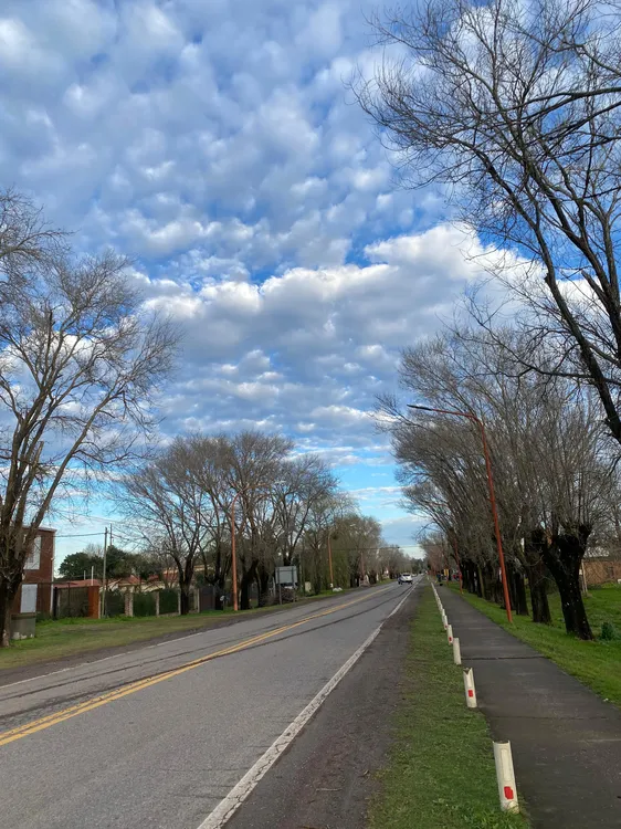 WhatsApp Image 2025-08-20 at 08.22.19