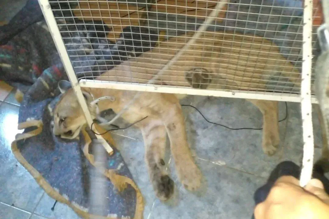 647696325_904988182358182_5644388515847732069_n