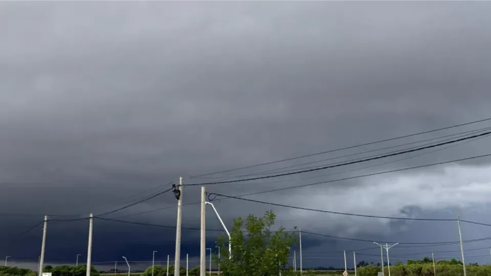 WhatsApp Image 2026-02-18 at 08.25