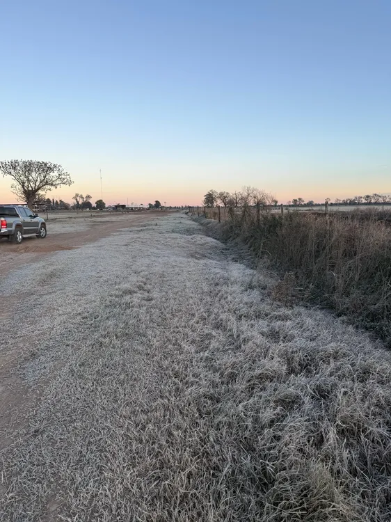 WhatsApp Image 2025-07-01 at 08.18.08