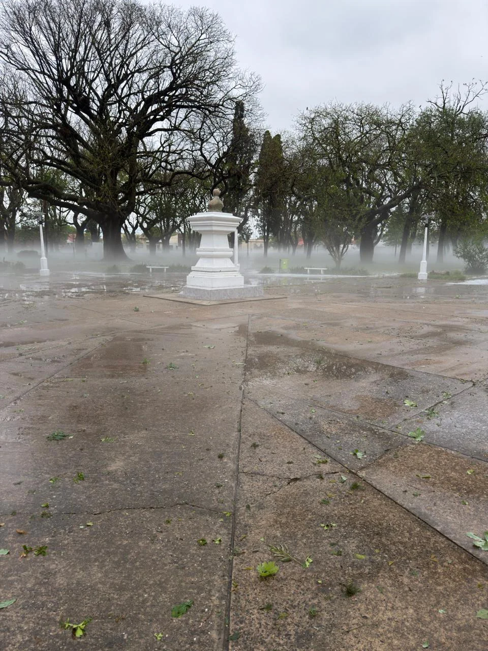 clima neblina