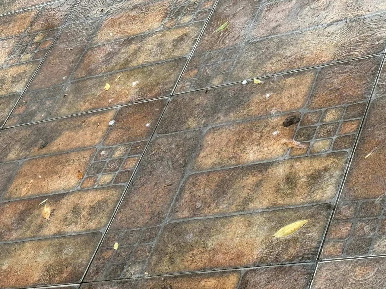 WhatsApp Image 2026-02-18 at 10.28.25