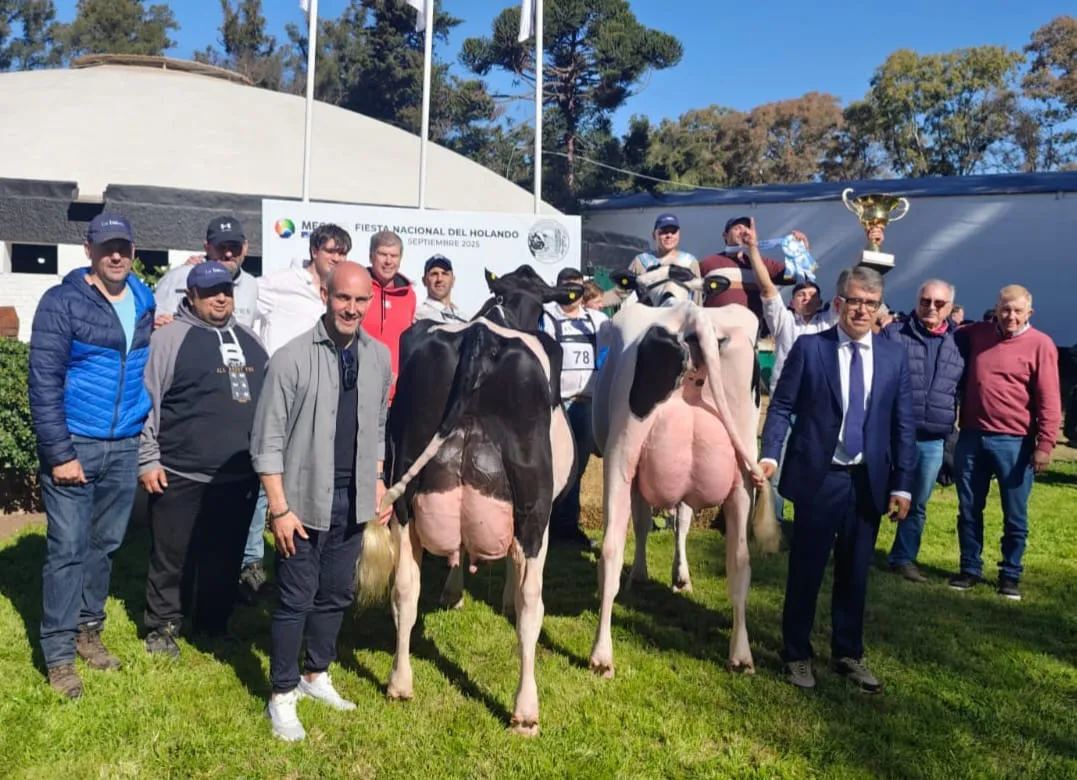 Las dos Grandes Campeonas