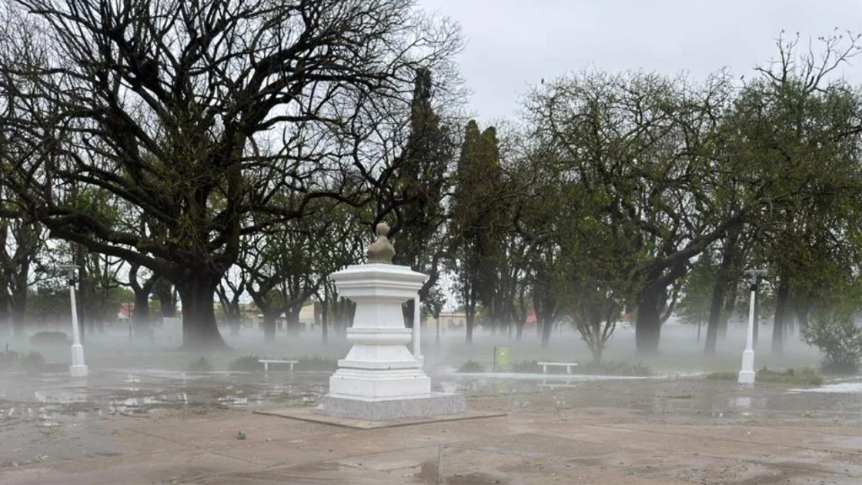 clima neblina